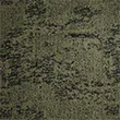 1)카키